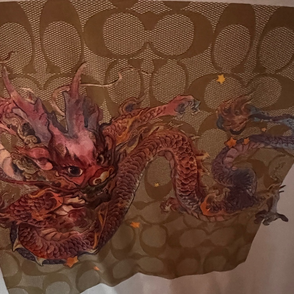 Brand new never used coach dragon tshirt